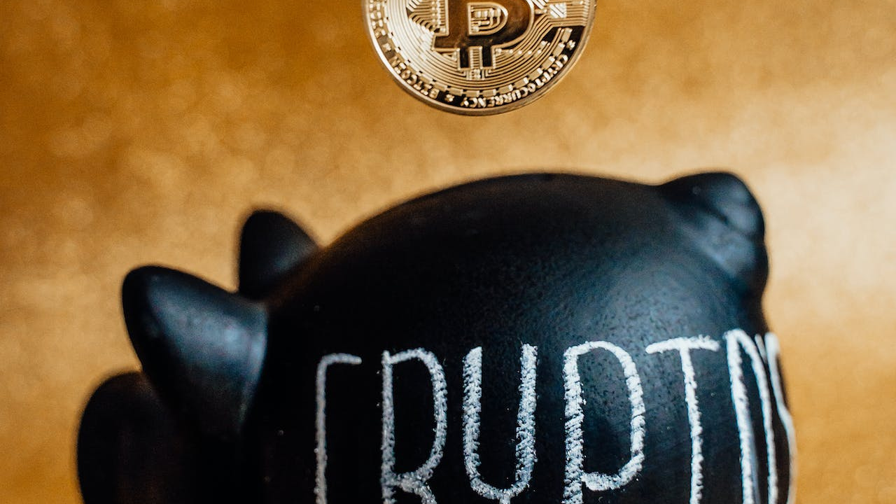 crypto pig